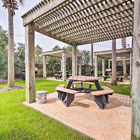 Galveston Condo With Oceanfront Views And 2 Pools ภายนอก รูปภาพ