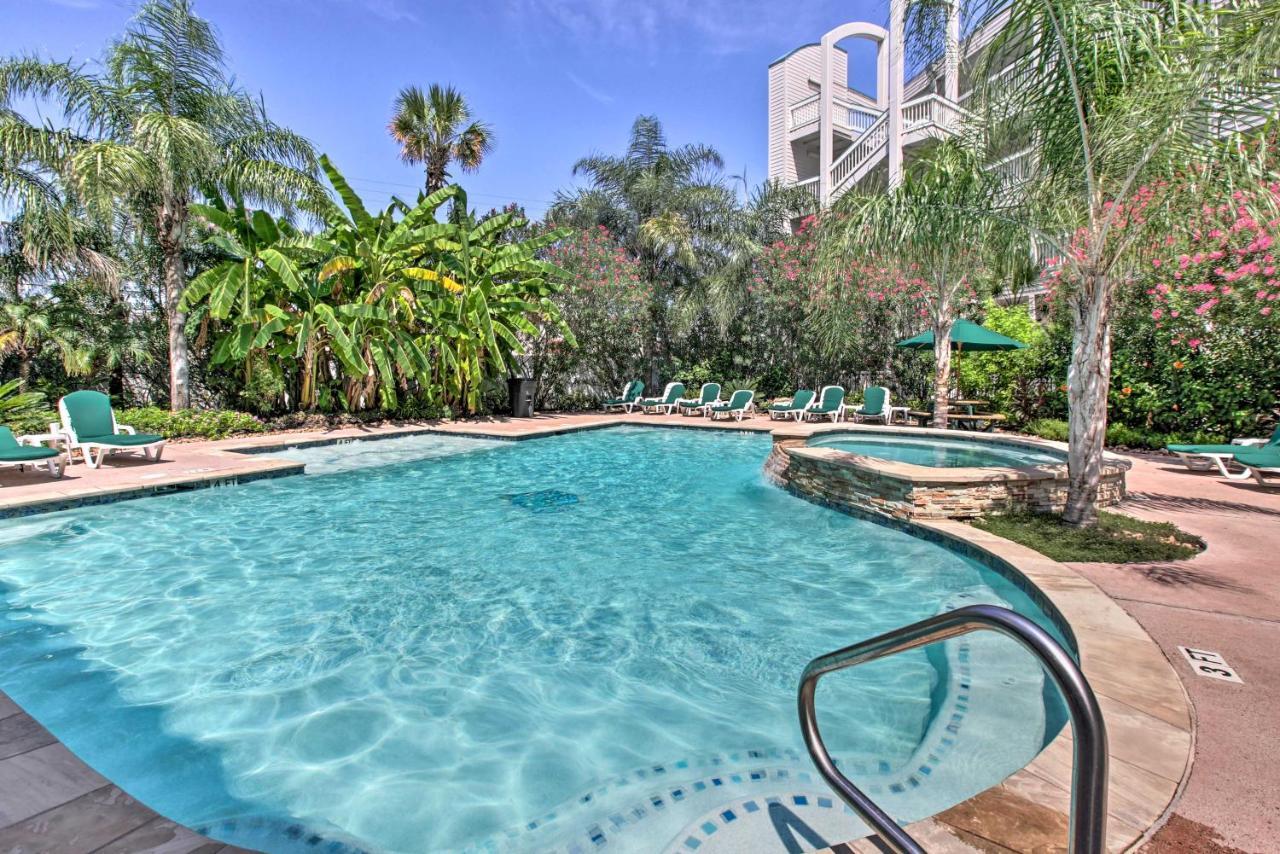 Galveston Condo With Oceanfront Views And 2 Pools ภายนอก รูปภาพ